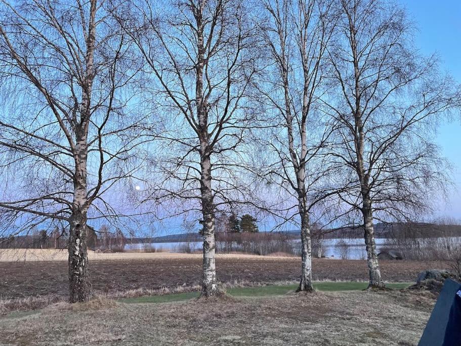 Lake Lodge Roennaes Leksand Εξωτερικό φωτογραφία