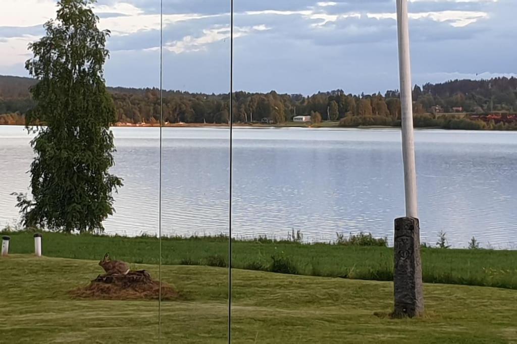 Lake Lodge Roennaes Leksand Εξωτερικό φωτογραφία